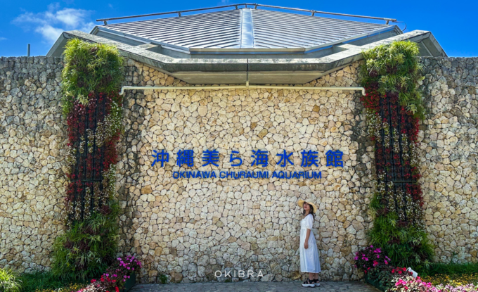 しろくまツアー沖縄バスツアー海洋博公園美ら海水族館