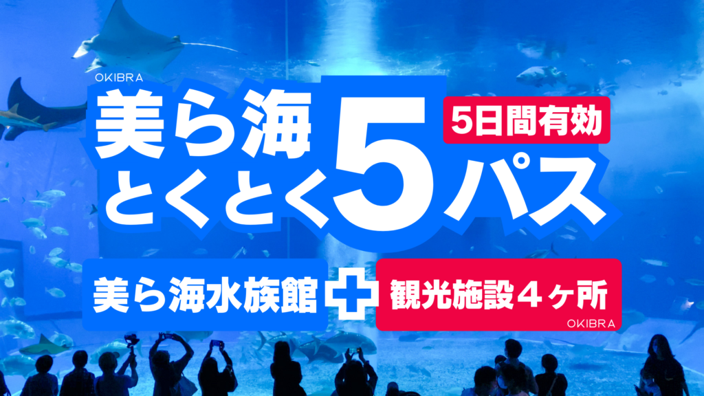 美ら海とくとく5パスポート美ら海水族館と４つの施設を選べる